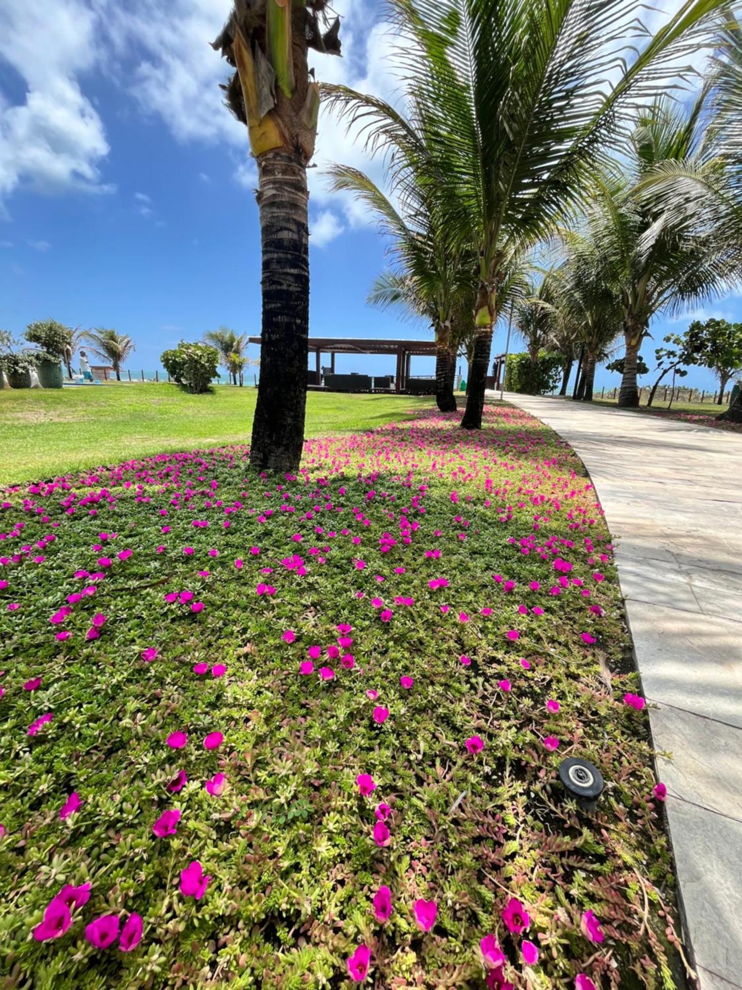 Resort Beira Mar Em Porto De Galinhas - Cupe Beach Living Exterior photo